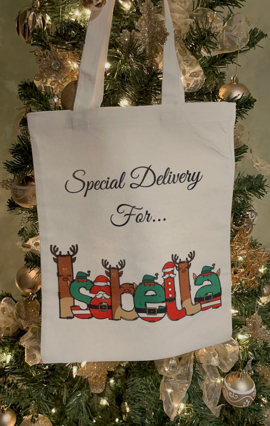 Special Delivery Bag